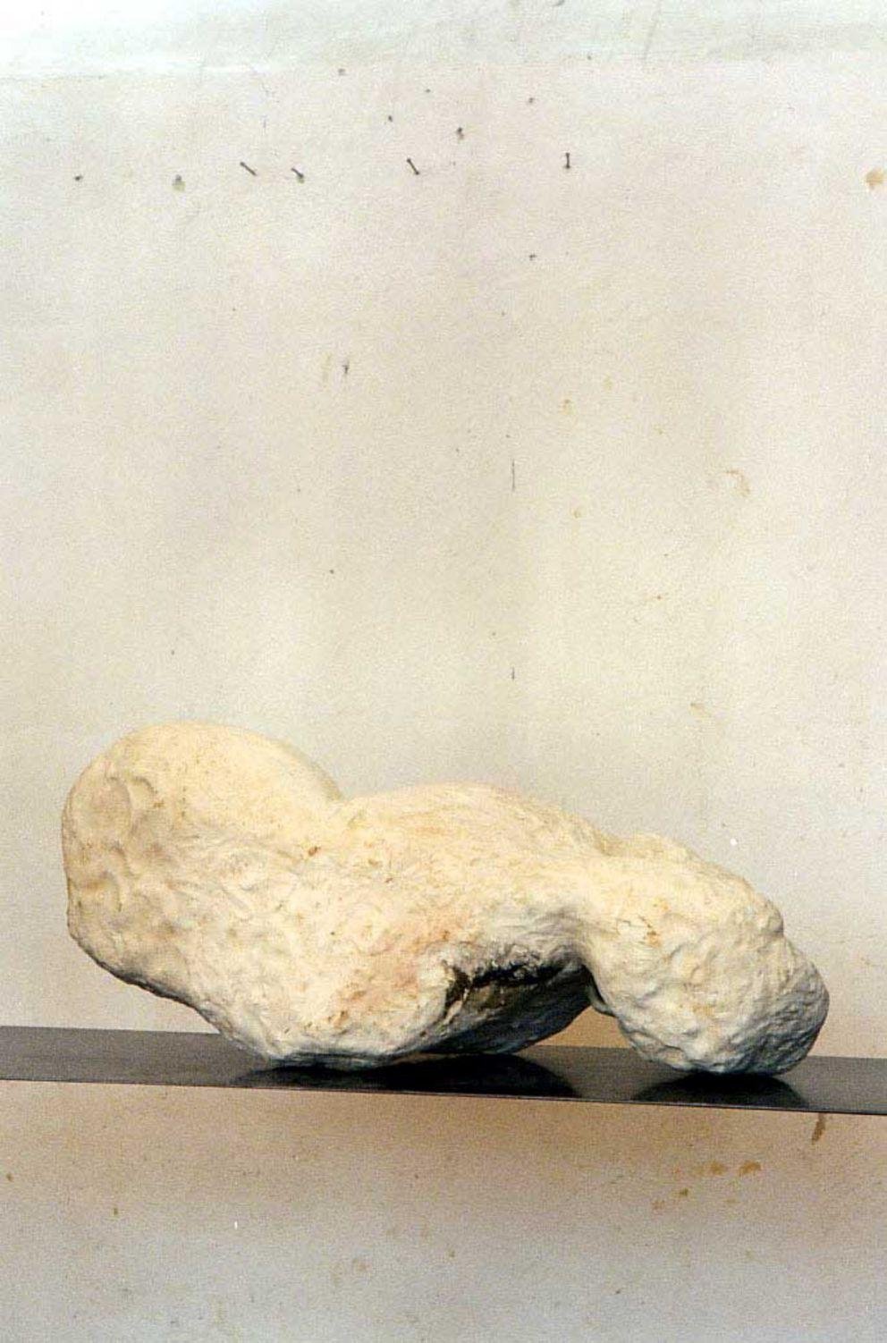 Werk von Hans Fischer Werk von Hans Fischer