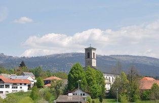 Neureichenau