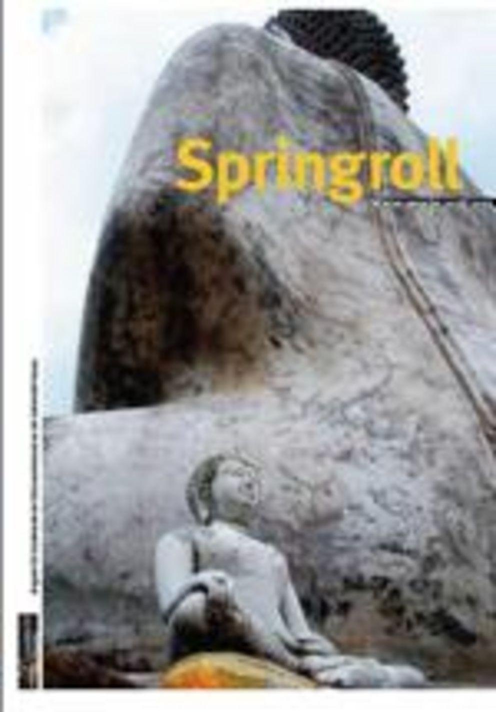 Springroll 1 Springroll 1