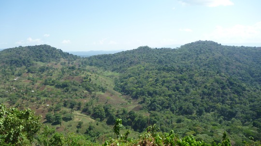 Wie Landwirtschaft und Wald ineinandergreifen: Im Südwesten Äthiopiens sammelte Prof. Dr. Christine Schmitt Daten über tropische Bergwälder für ihre Doktorarbeit. Foto: Schmitt