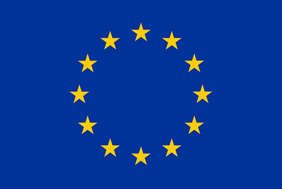Europäische Union fördert neues Jean-Monnet-Netzwerk